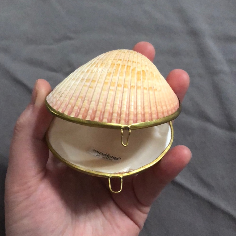 Seashell jewelry Holder